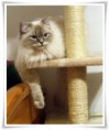 /album/benson/benson-08-jpg/